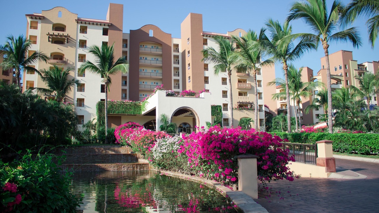 Photo of Outdoor in Flamingos