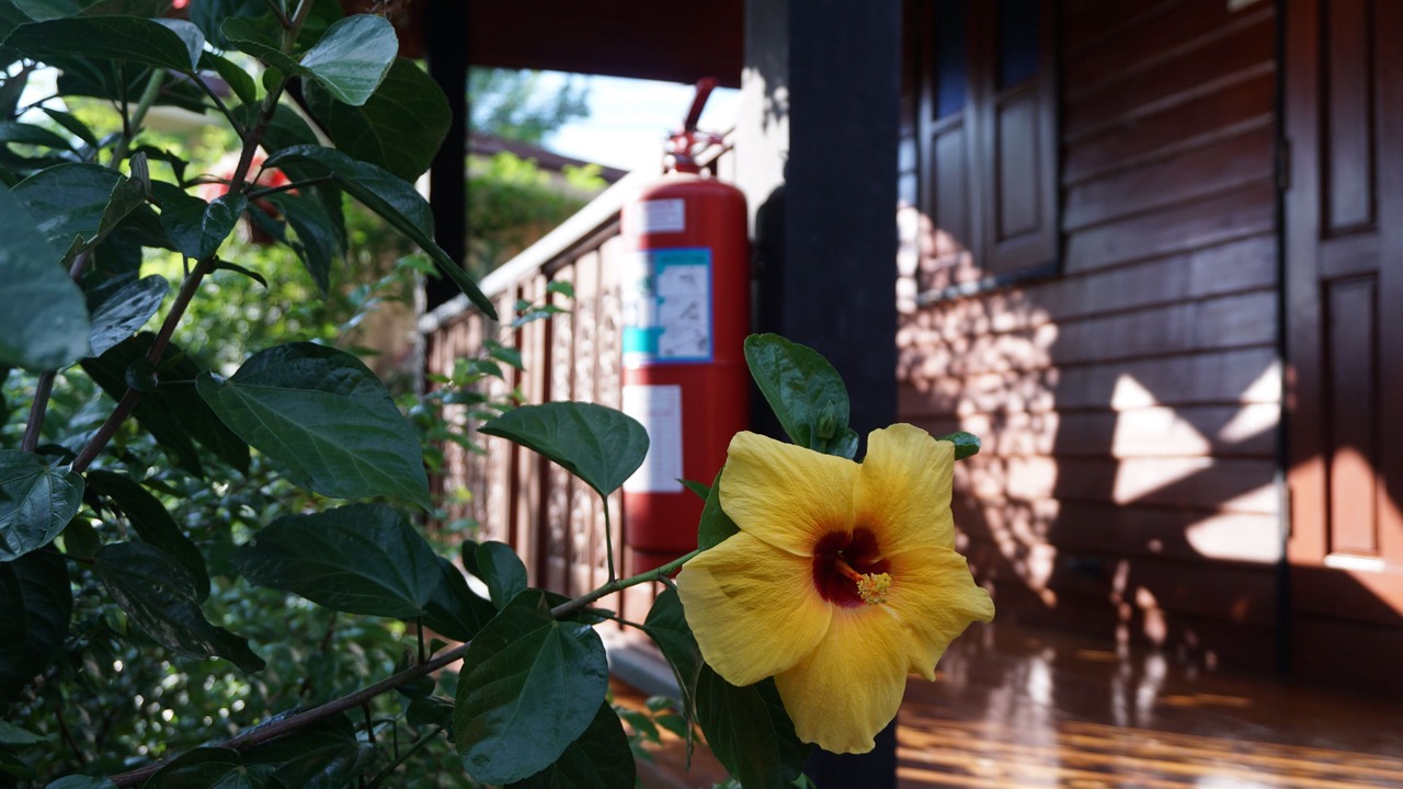 Photo of Outdoor in Lampang