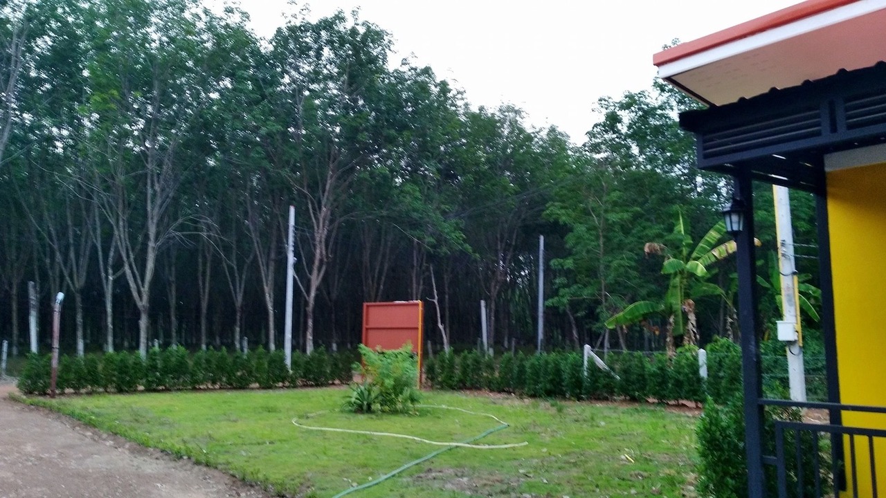 Photo of Outdoor in Ban Dung