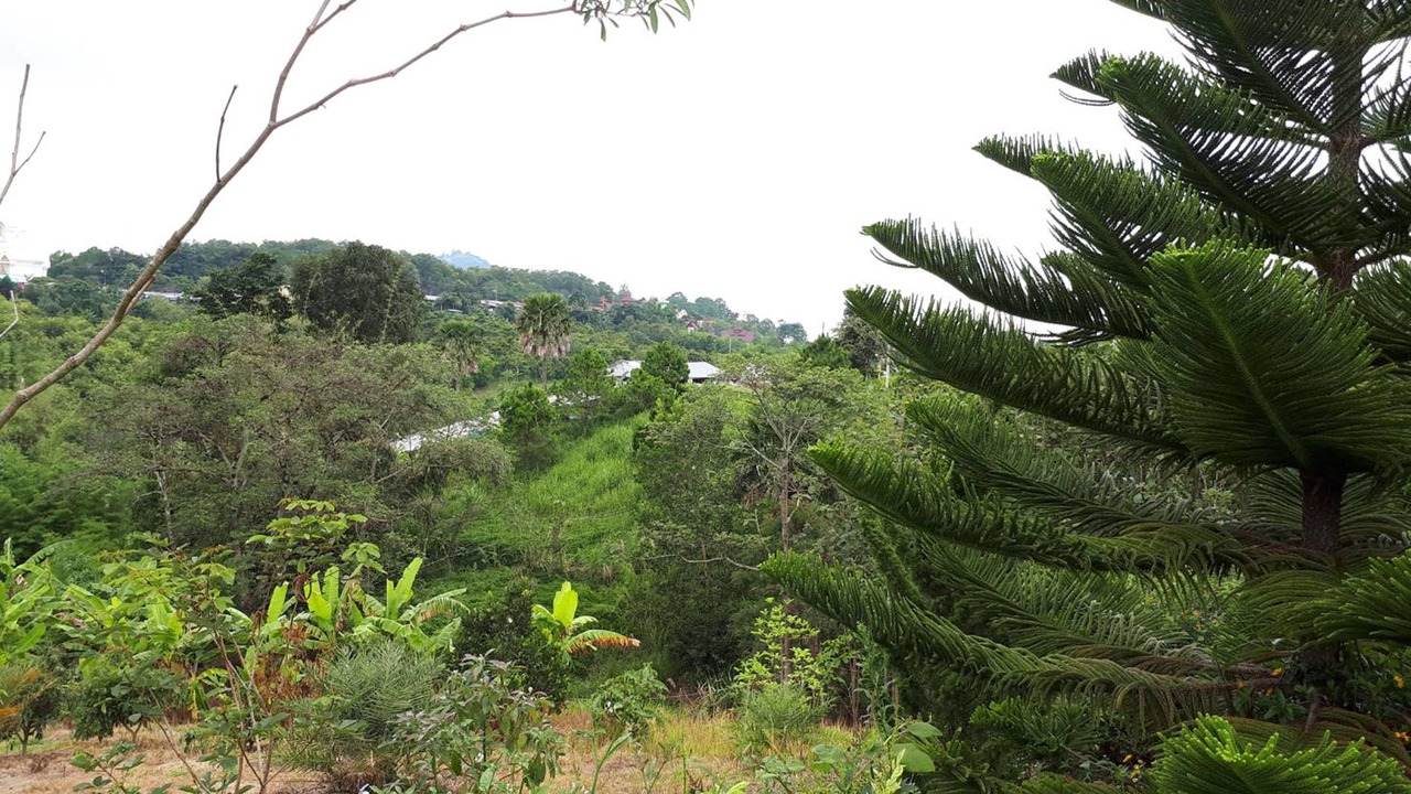 Photo of Bedroom in Khao Kho