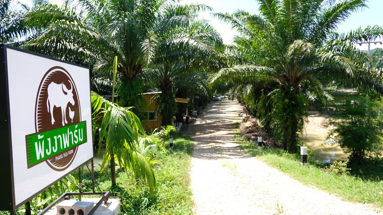 Photo of Outdoor in Takua Pa