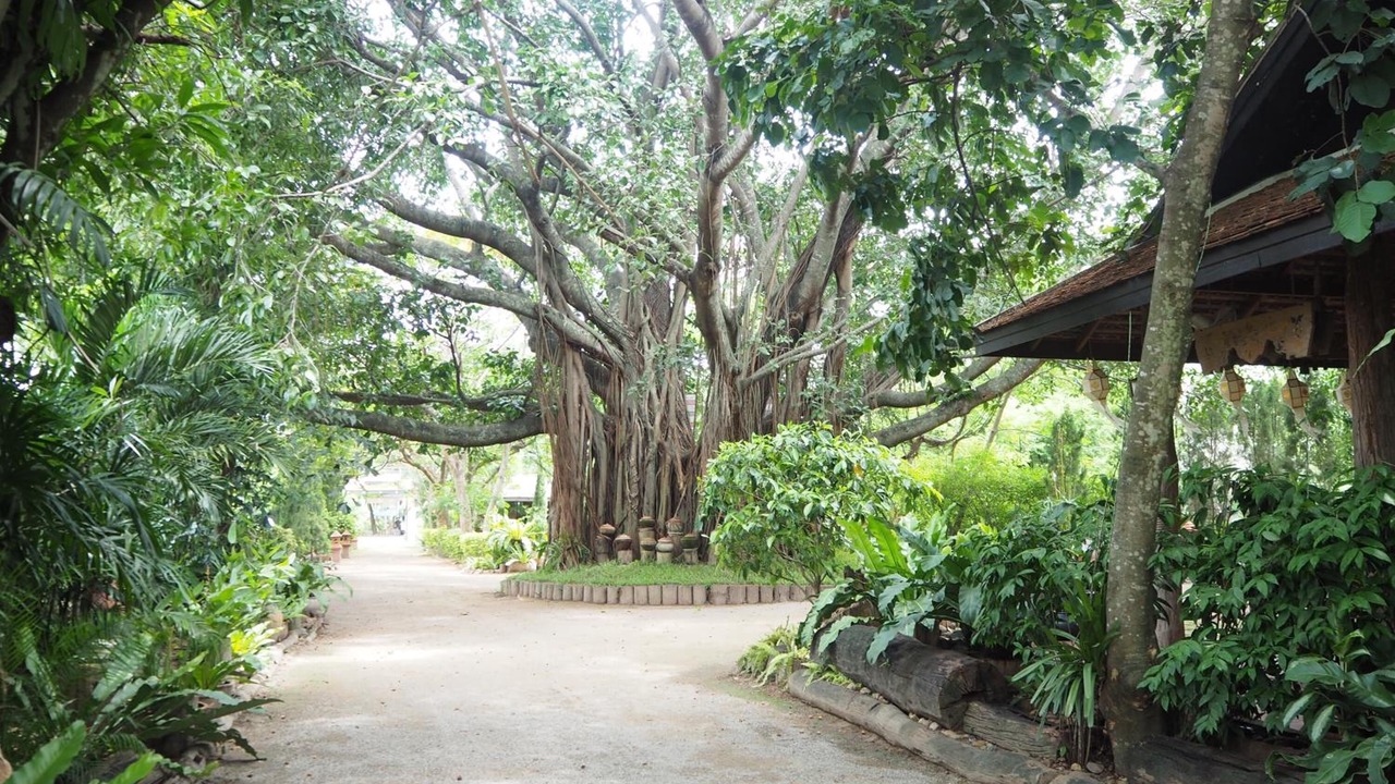 Photo of Outdoor in Mae Wang