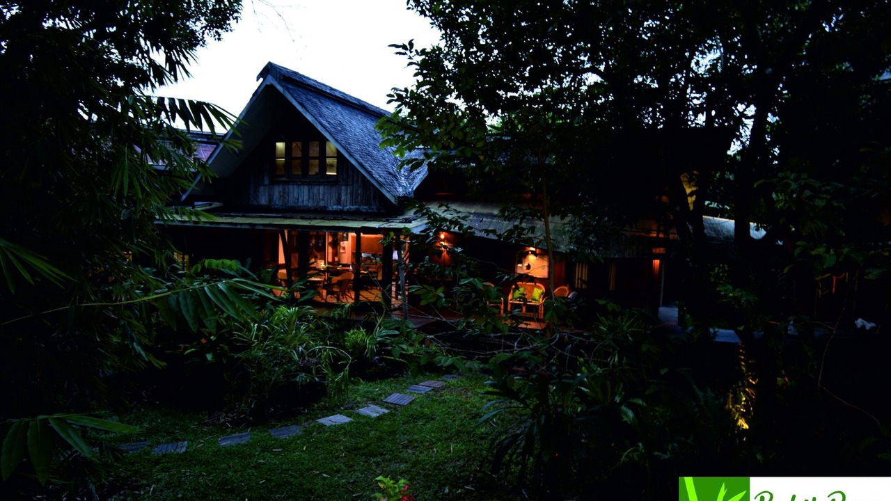 Photo of Others in Palangkaraya