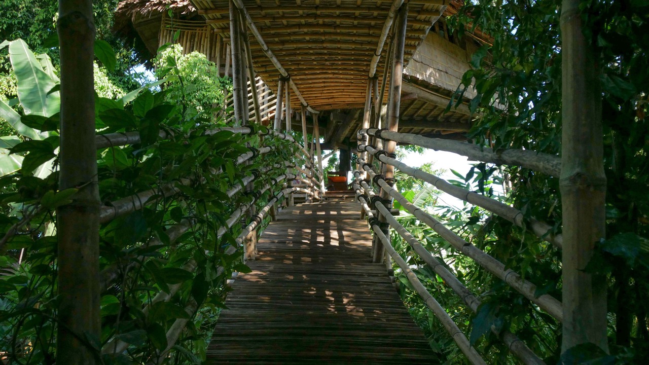 Photo of Others in Palangkaraya