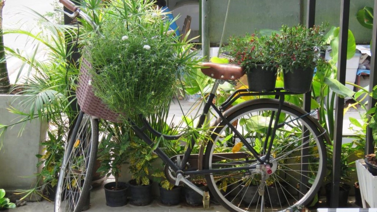 Photo of Outdoor in Khao Takiab