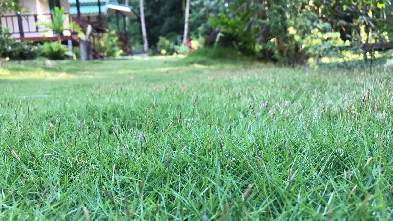 Photo of Outdoor in Ko Kood