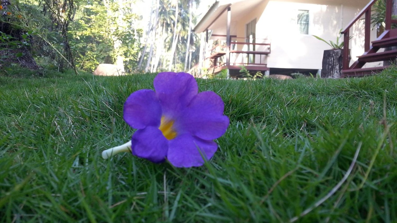 Photo of Outdoor in Ko Kood