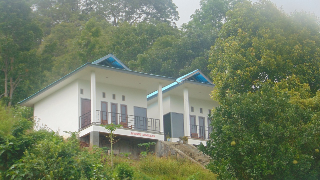 Photo of Outdoor in Moni