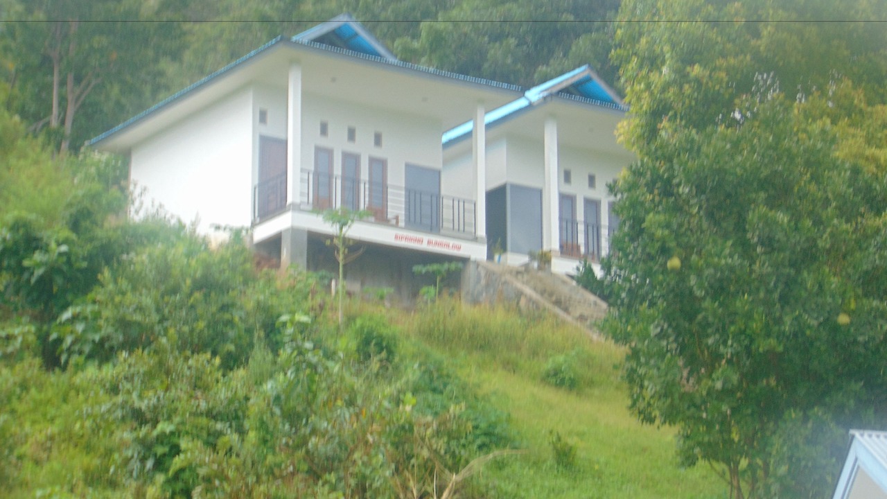 Photo of Outdoor in Moni