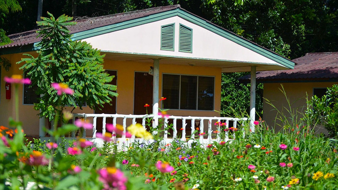 Photo of Outdoor in Nam Song