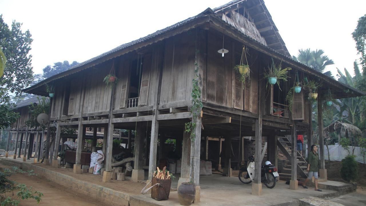 Photo of Outdoor in Tan Lac