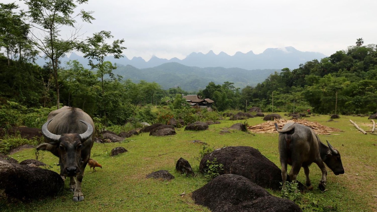 Photo of Outdoor in Ha Giang