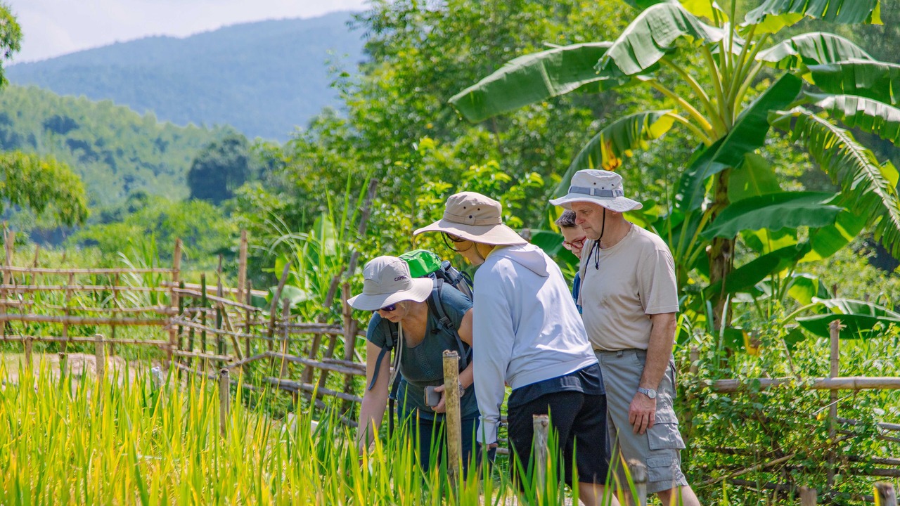 Photo of Others in Mai Chau