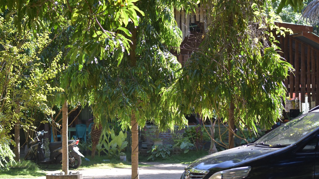 Photo of Outdoor in Bajawa