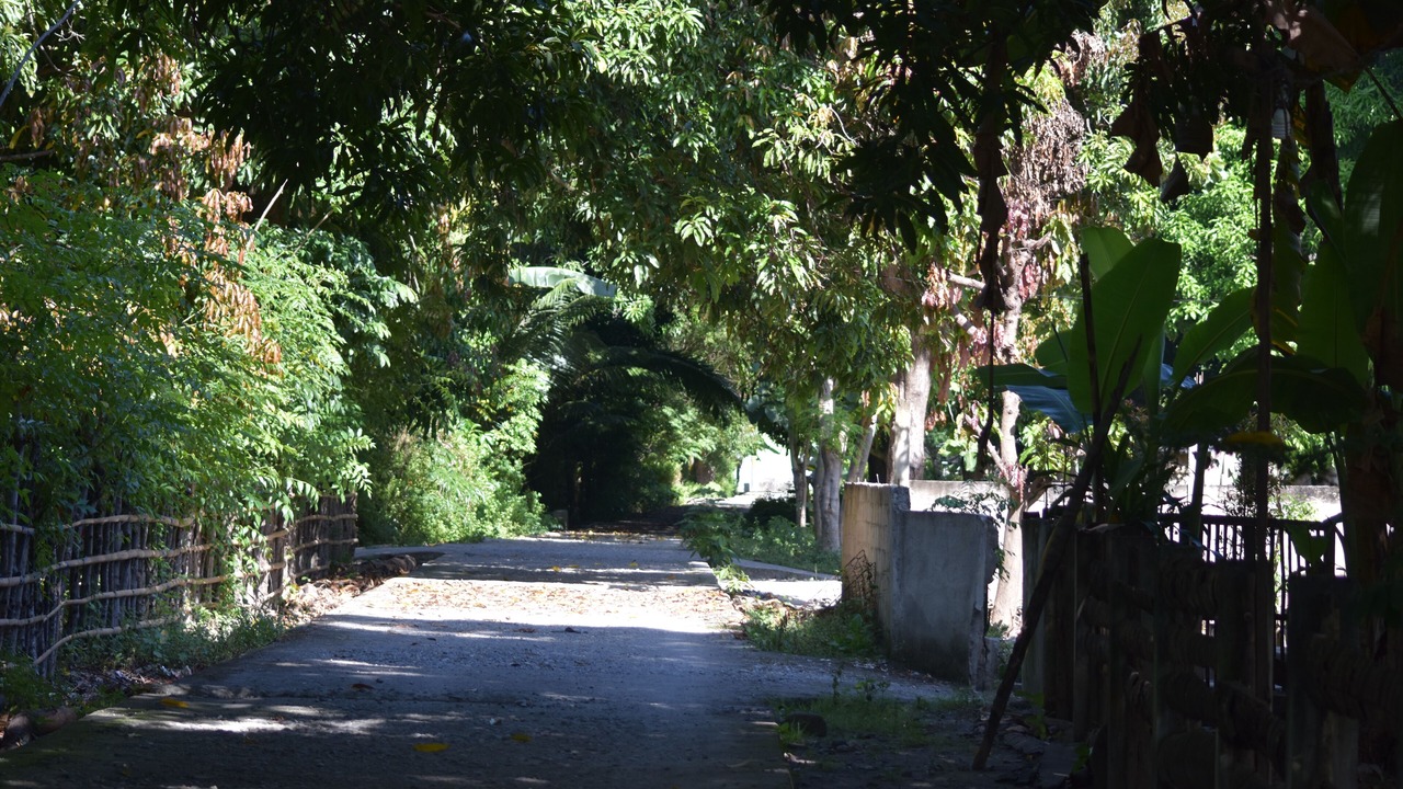 Photo of Outdoor in Bajawa