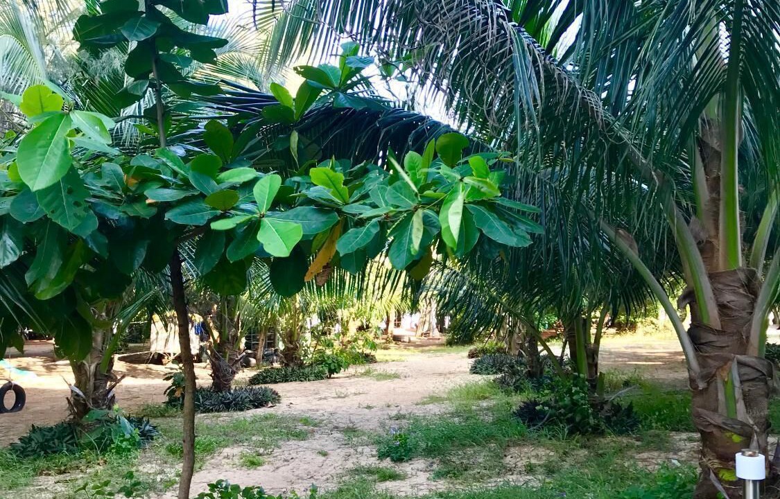 Photo of Outdoor in Dat Do