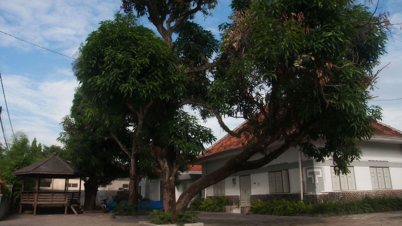 Photo of Outdoor in Central Yogyakarta