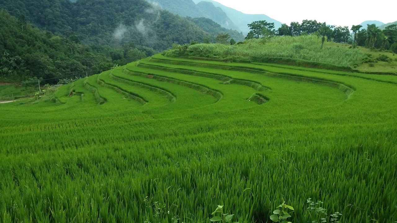Photo of Outdoor in Pu Long Nature Reserve