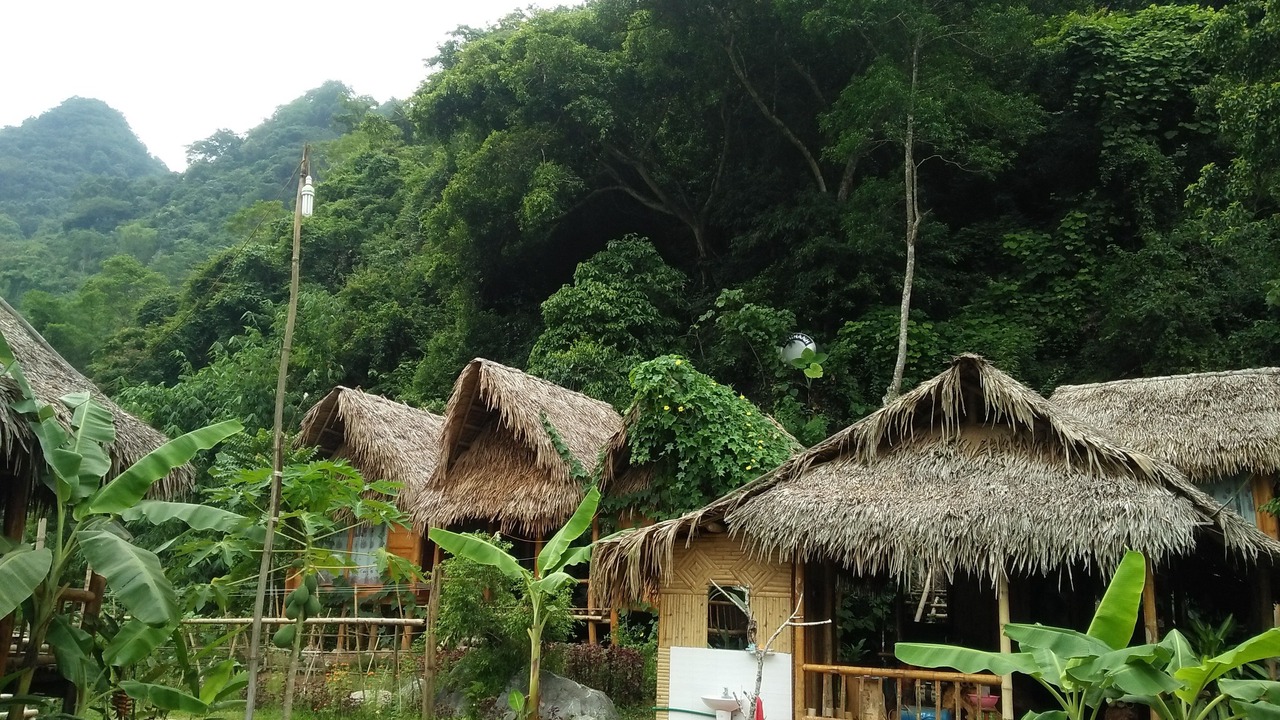 Photo of Others in Pu Long Nature Reserve