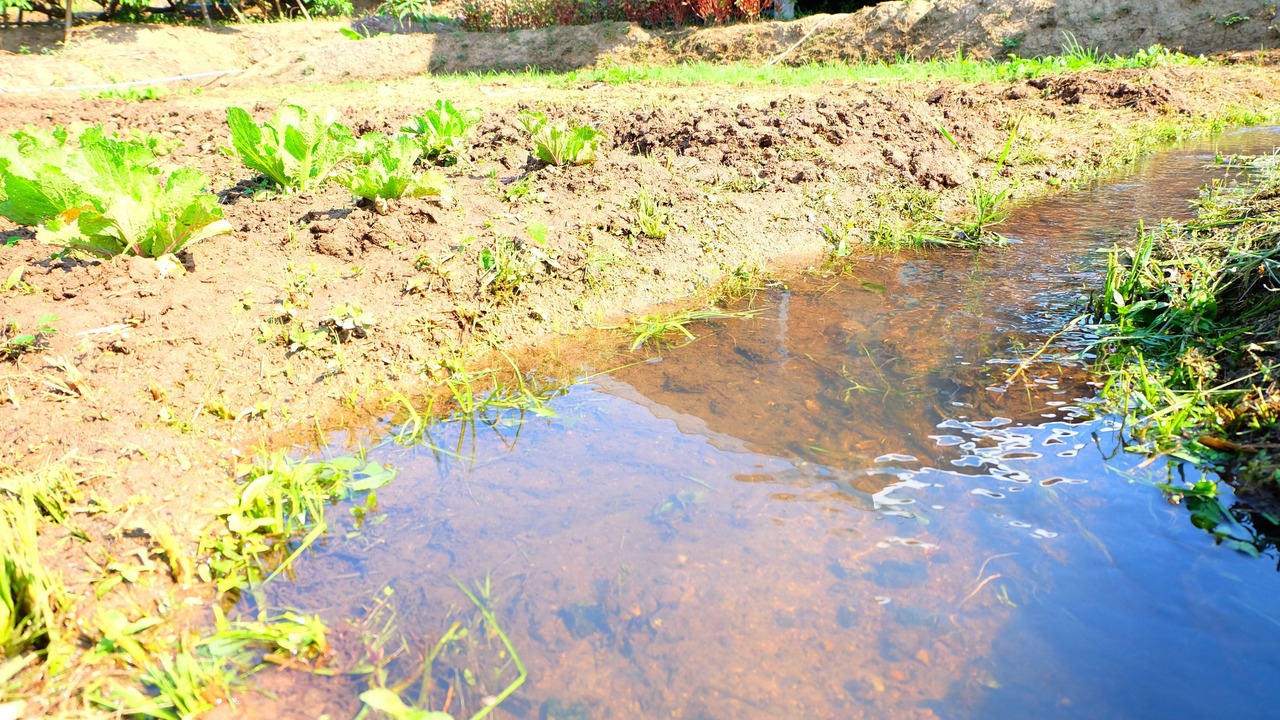 Photo of Outdoor in Ban Luang