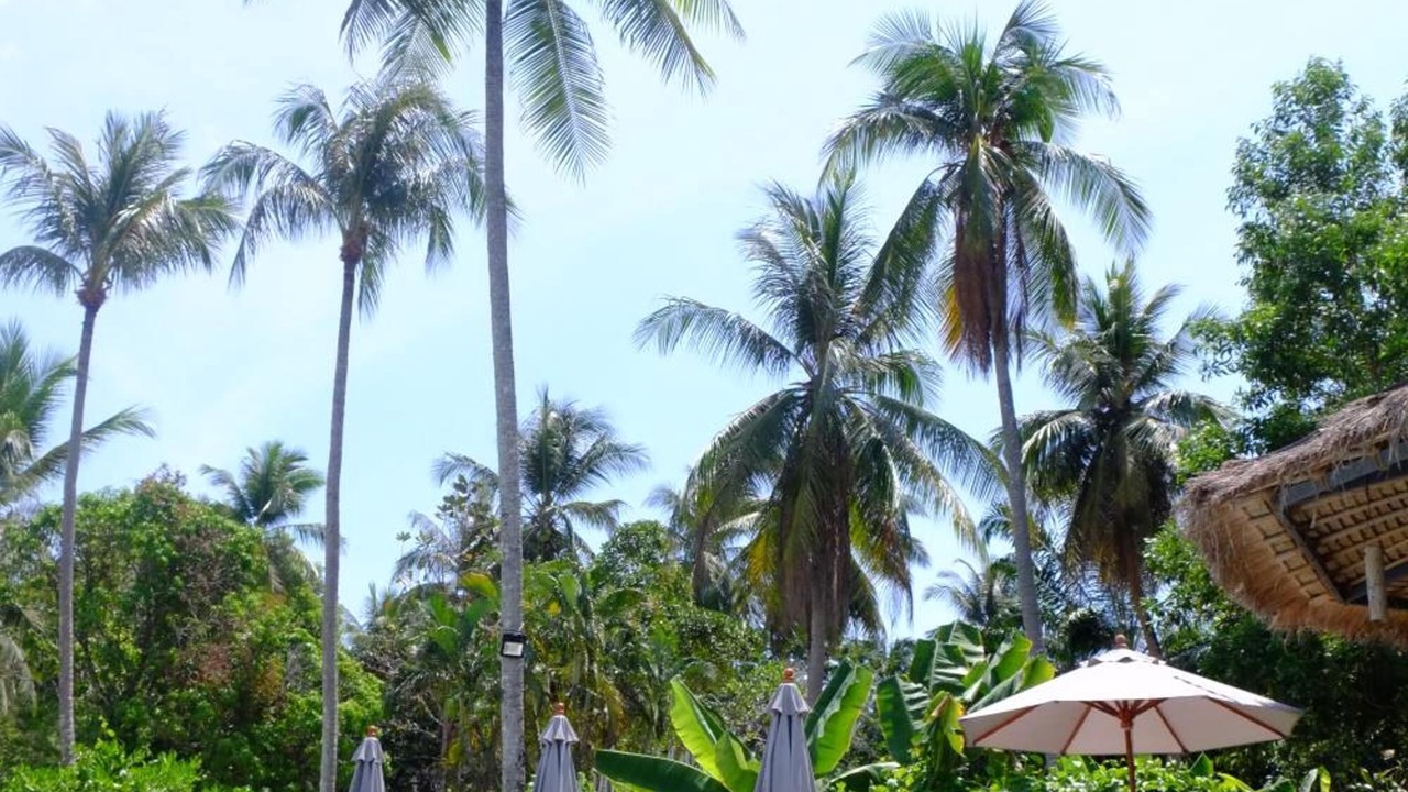 Photo of Others in Ko Yao