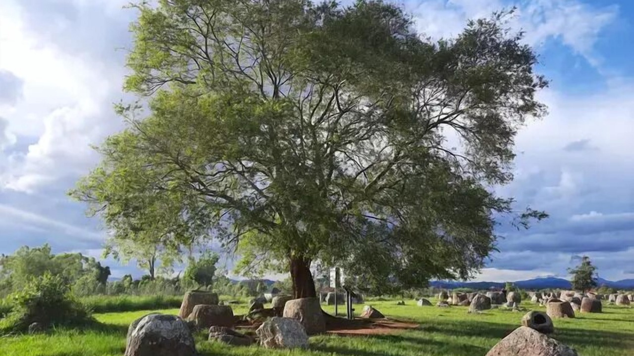 Photo of Outdoor in Phonsavan