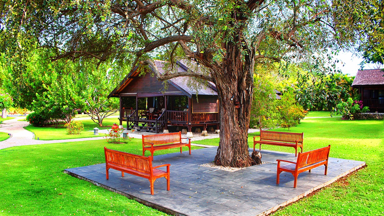 Photo of Others in Sumbawa Besar