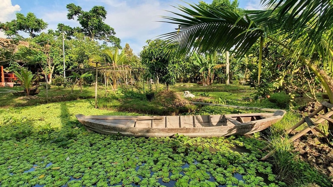 Photo of Outdoor in Phong Dien