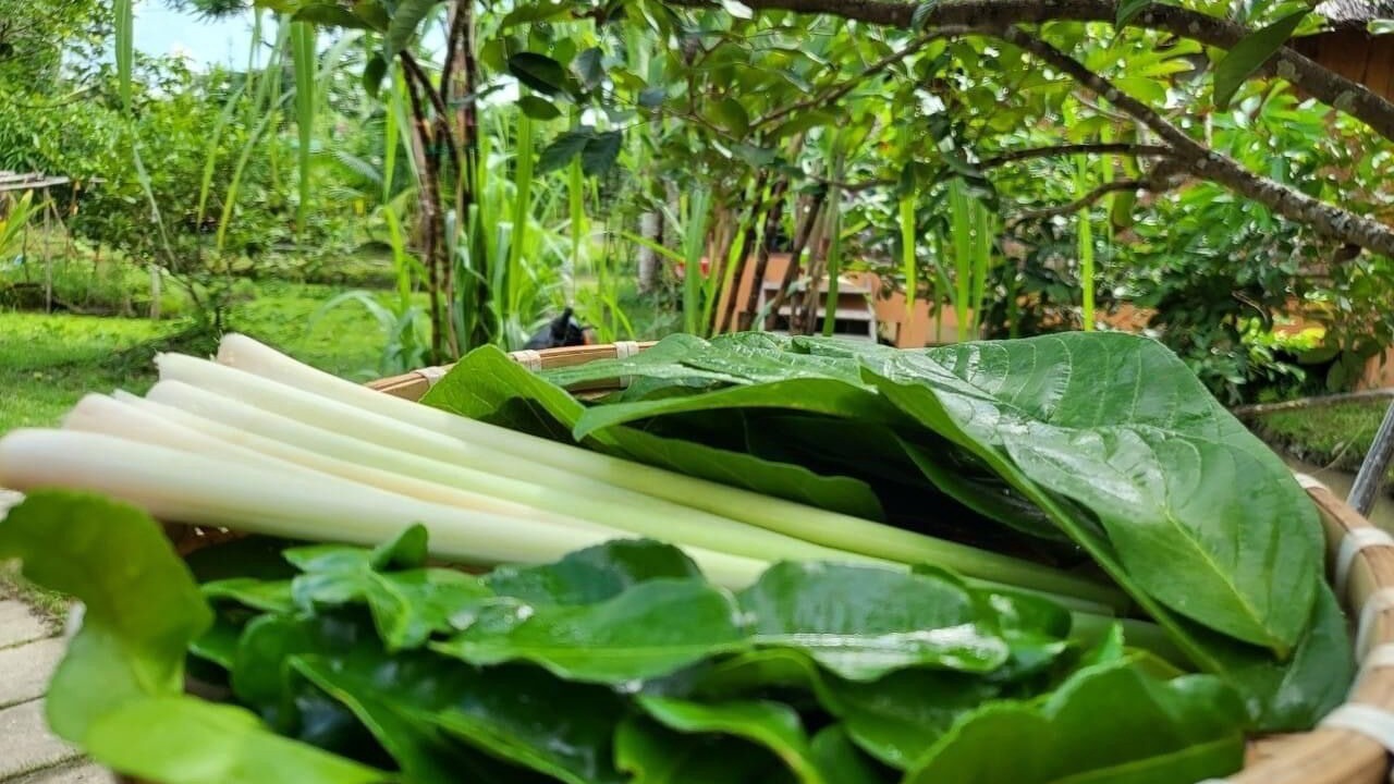 Photo of Outdoor in Phong Dien