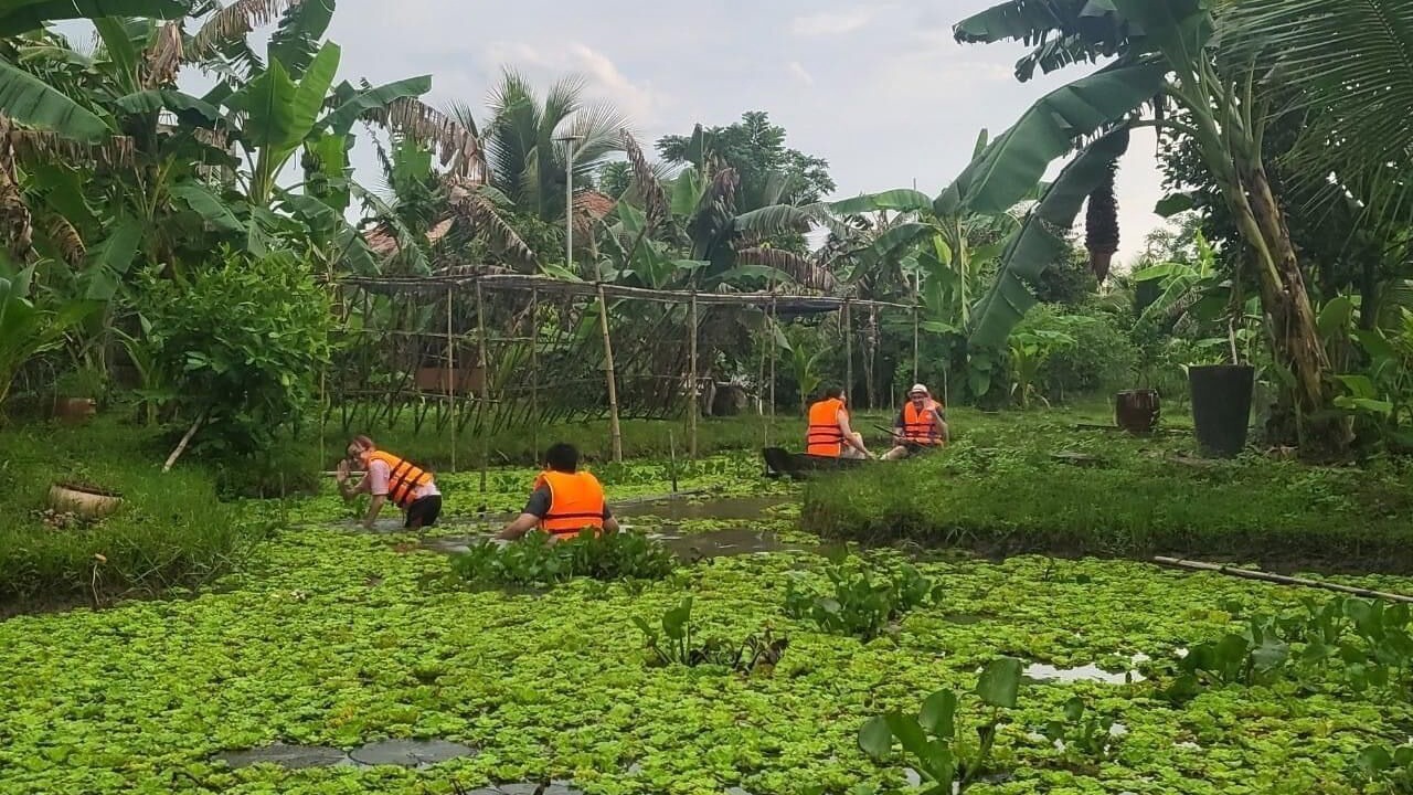 Photo of Outdoor in Phong Dien