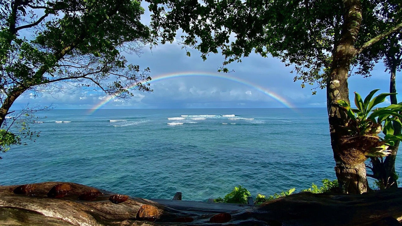 Photo of Others in Morotai Island