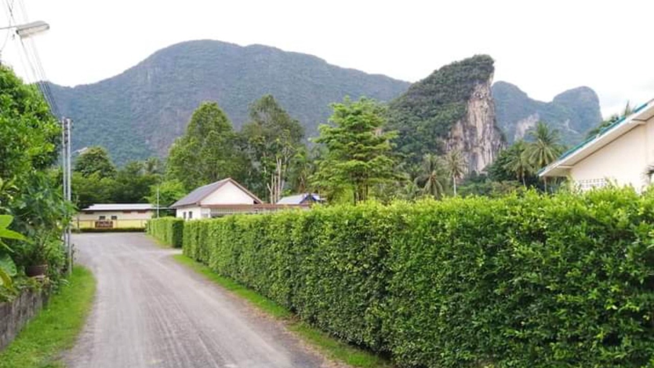 Photo of Outdoor in Thai Chang