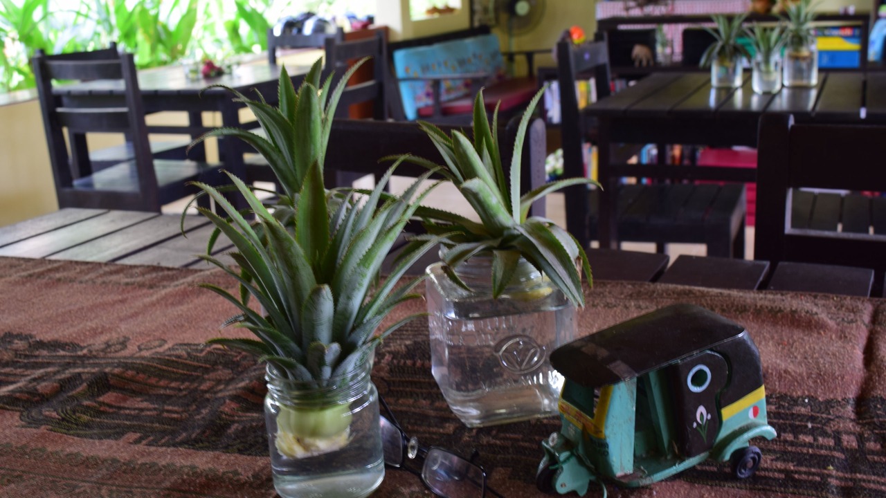 Photo of Others in Phang Nga