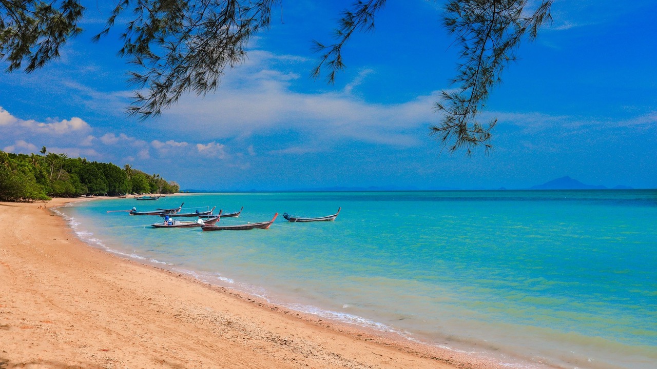 Photo of Others in Sai Thai
