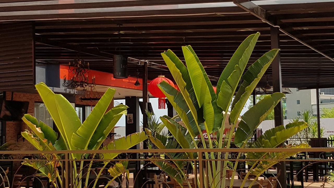 Photo of Outdoor in Bandar Meru Raya