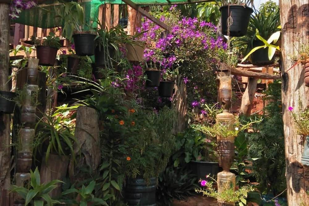 Photo of Outdoor in Ban Lung
