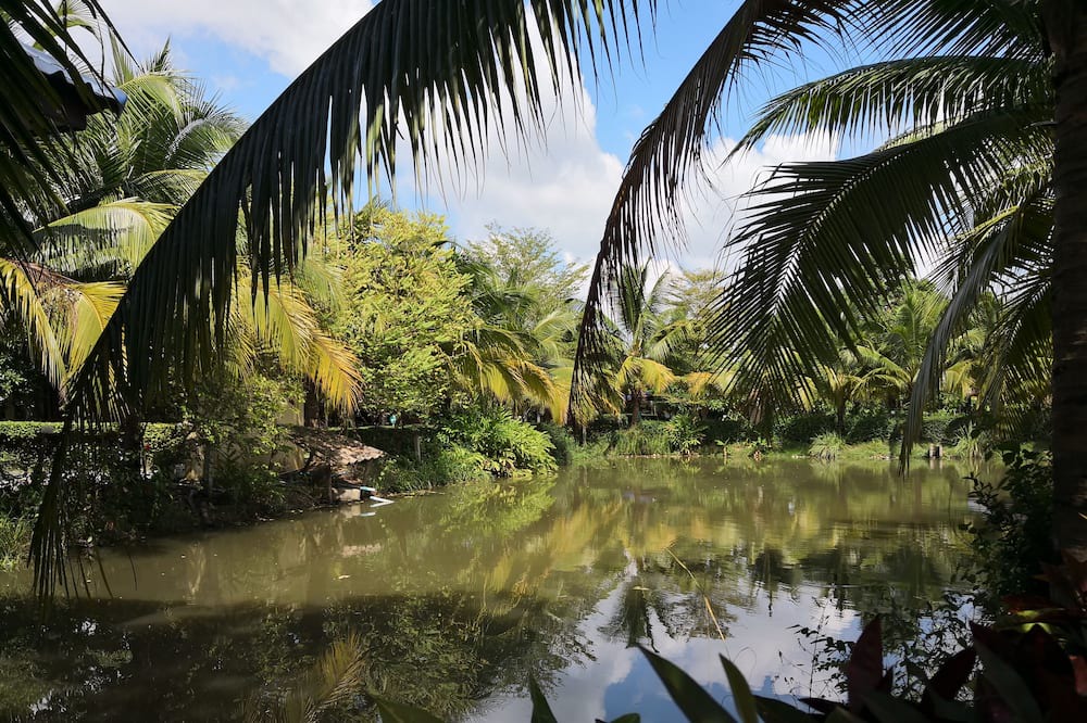 Photo of Outdoor in Sankhaburi