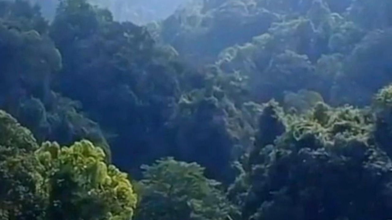Photo of Outdoor in Cisolok