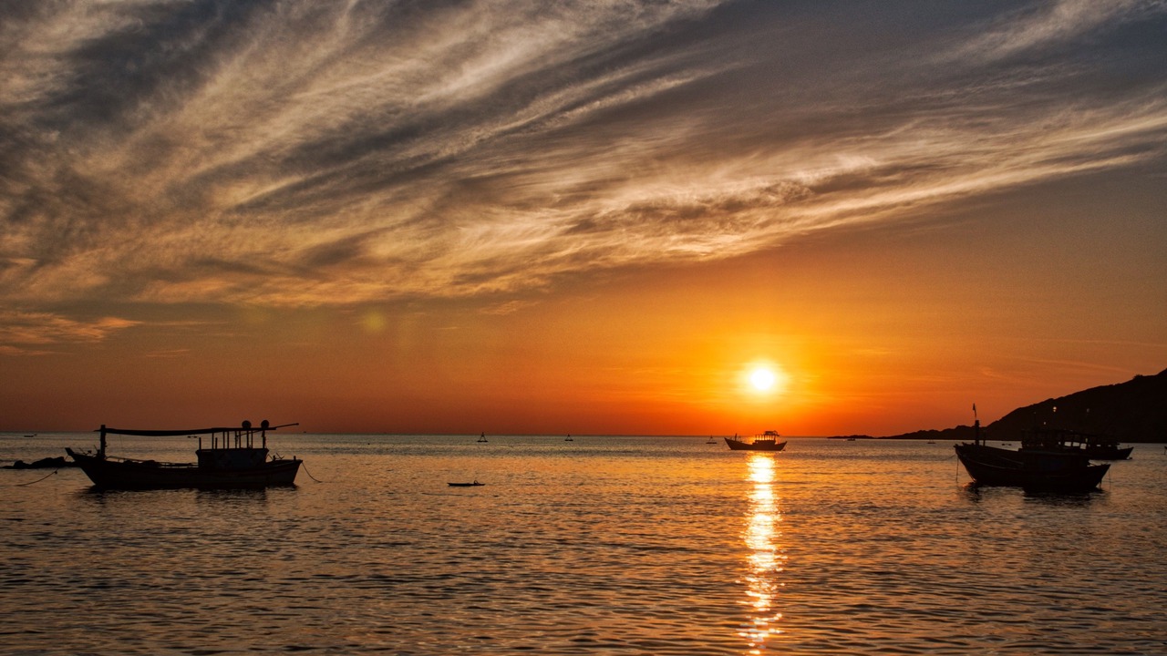 Photo of Others in Quy Nhon