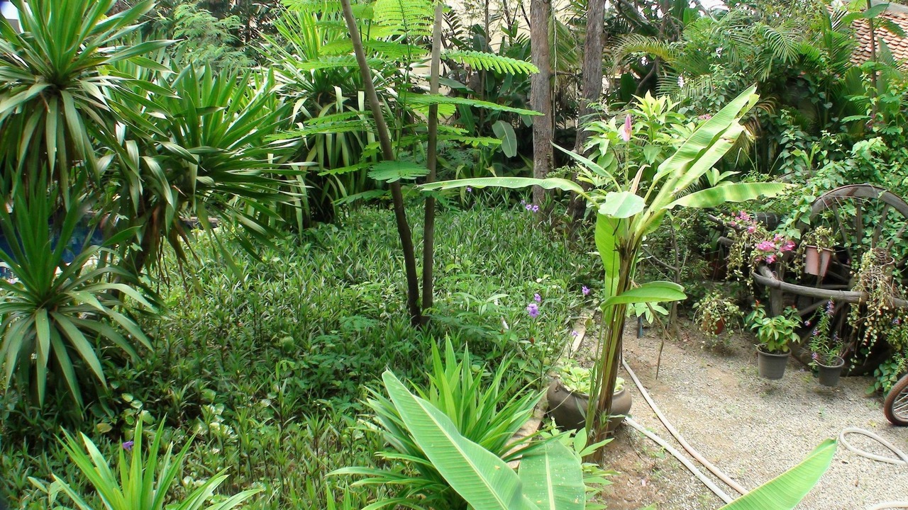Photo of Outdoor in Sangkat Sla Kram