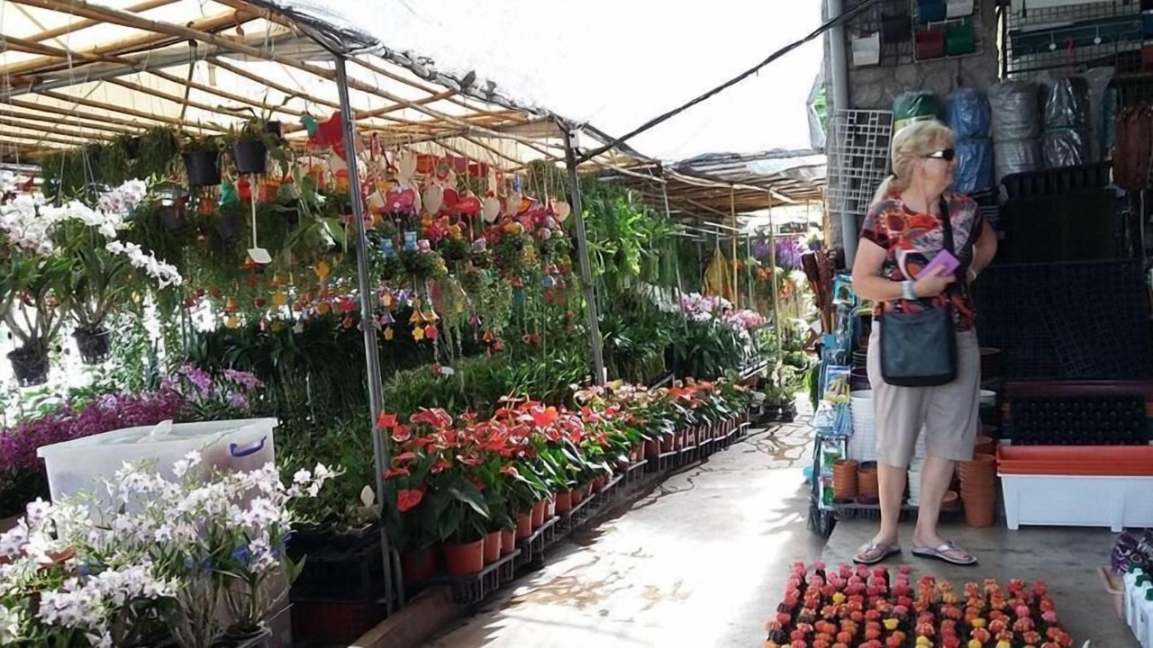 Photo of Outdoor in Bang Rachan