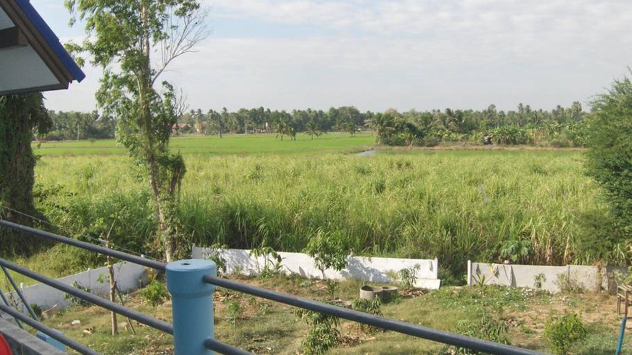 Photo of Others in Bang Rachan
