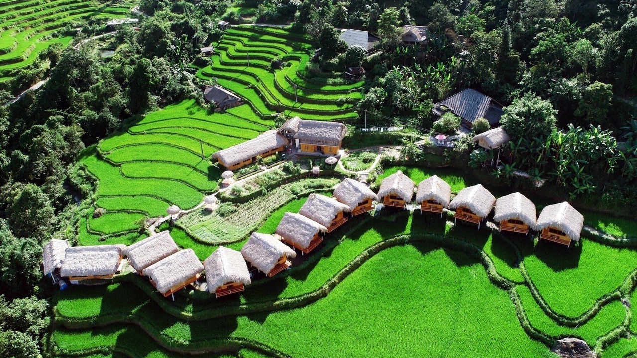Photo of Others in Thong Nguyen