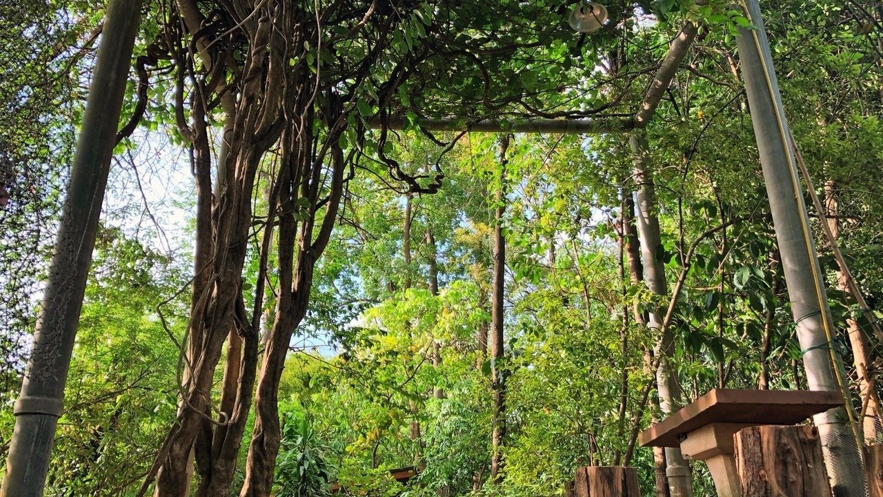 Photo of Outdoor in U Thong