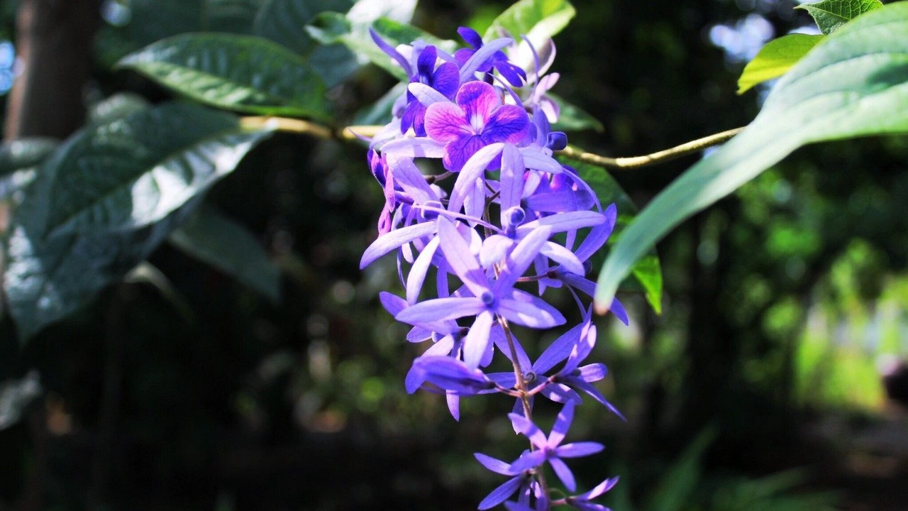 Photo of Outdoor in U Thong