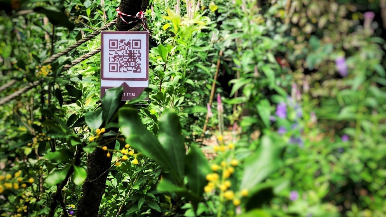 Photo of Outdoor in U Thong