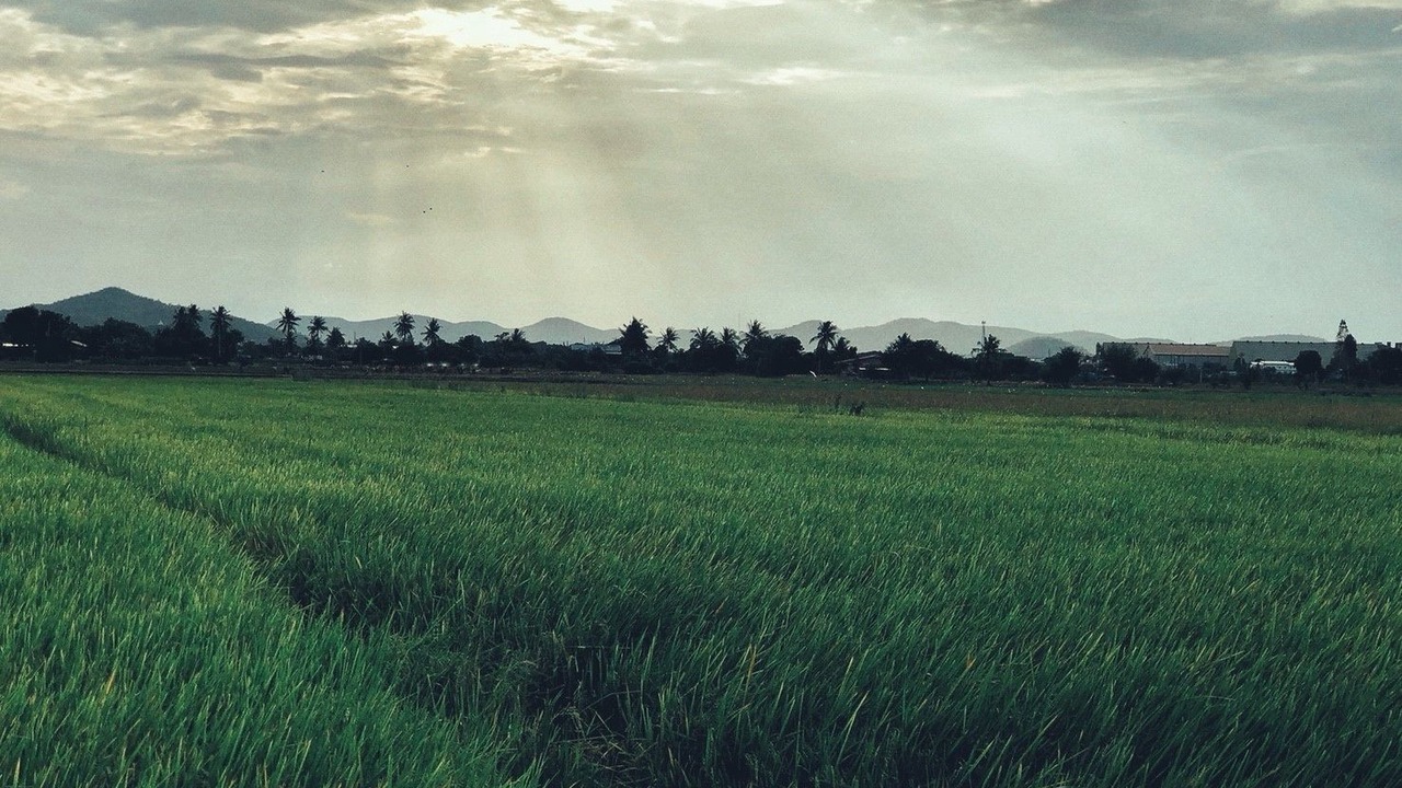 Photo of Outdoor in U Thong