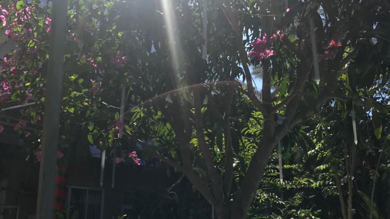 Photo of Outdoor in East Ham Tien Beach