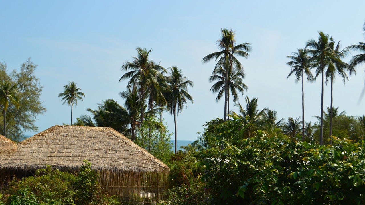 Photo of Others in Koh Rong