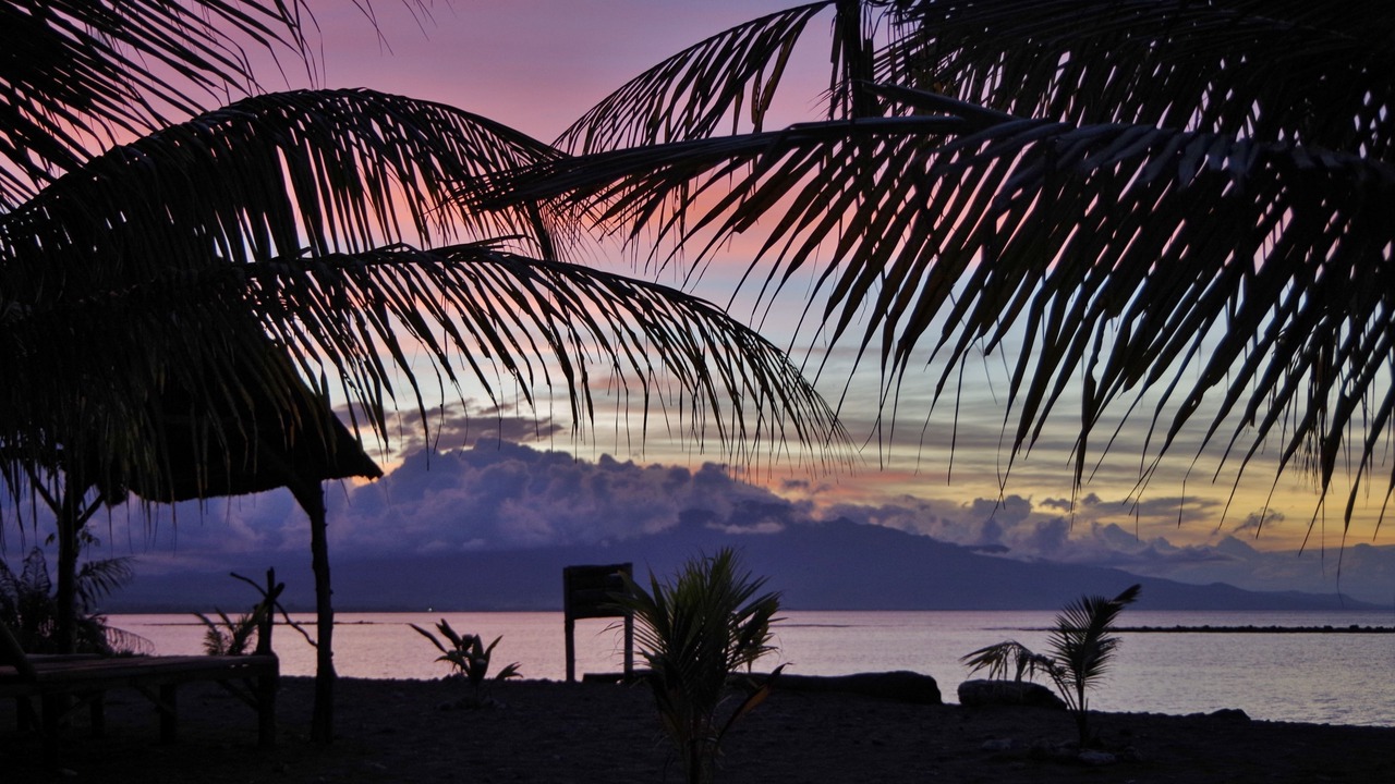 Photo of Bedroom in Maumere